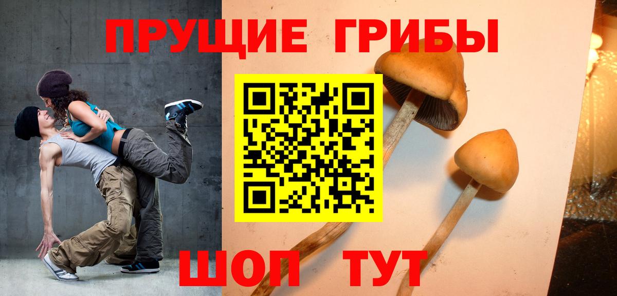 Галлюциногенные грибы мухоморы  Вход с VPN  Корсаков 
